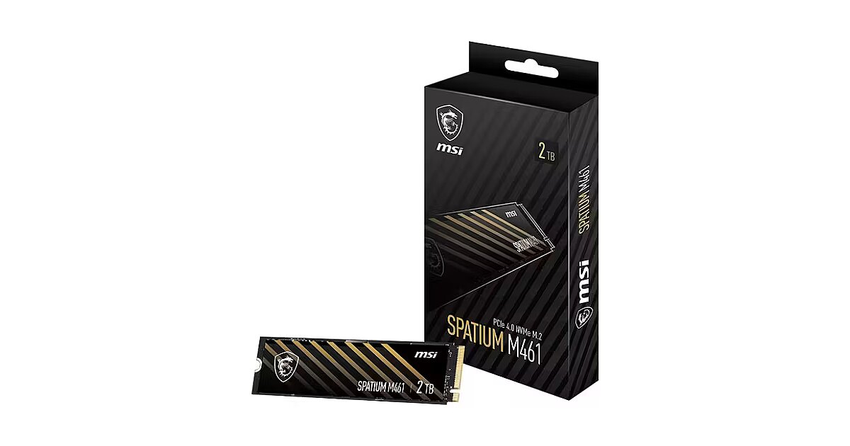 MSI SPATIUM M461, 2TB, M.2 Gen4 x4 (S78-440Q550-P83)