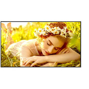 LG Monitor 65UL5Q-M 500cd/m2 UHD 24/7