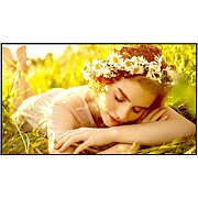 LG 4K UHD Signage | 86UL5Q-E