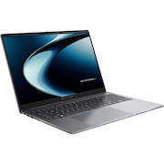 Asus ExpertBook PM3 (PM3606CKA-MB0194X) (gray, AMD