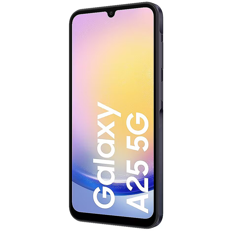 Samsung Galaxy A25, 8GB/256GB, Brave Black (SM-A256BZKHEUB)