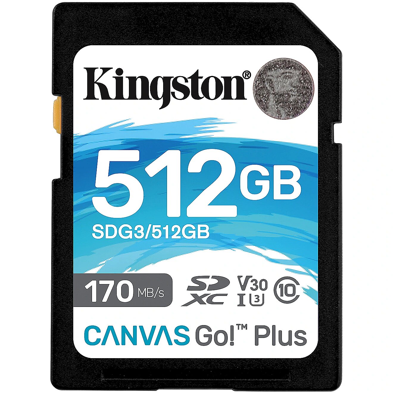 Памяти 64 128 гб. SDXC 128gb Kingston. Карта памяти Kingston Canvas go! Plus SDXC 128 ГБ [sdg3/128gb]. Kingston SD 32gb class 10. Kingston SD 64gb.