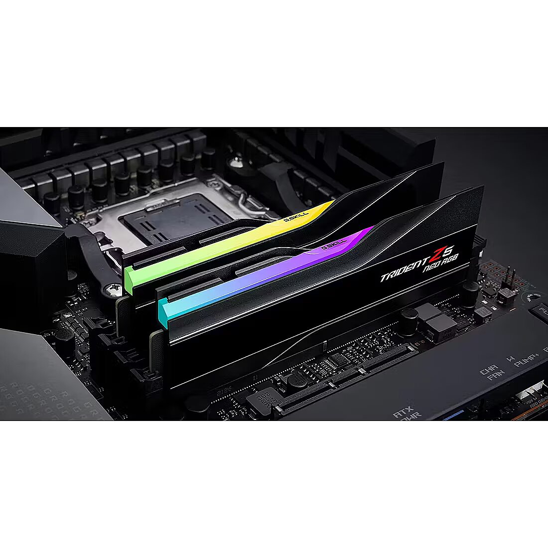 G.Skill DDR5 メモリー 8000Mhz (EXPO) 48GB 【公式通販】