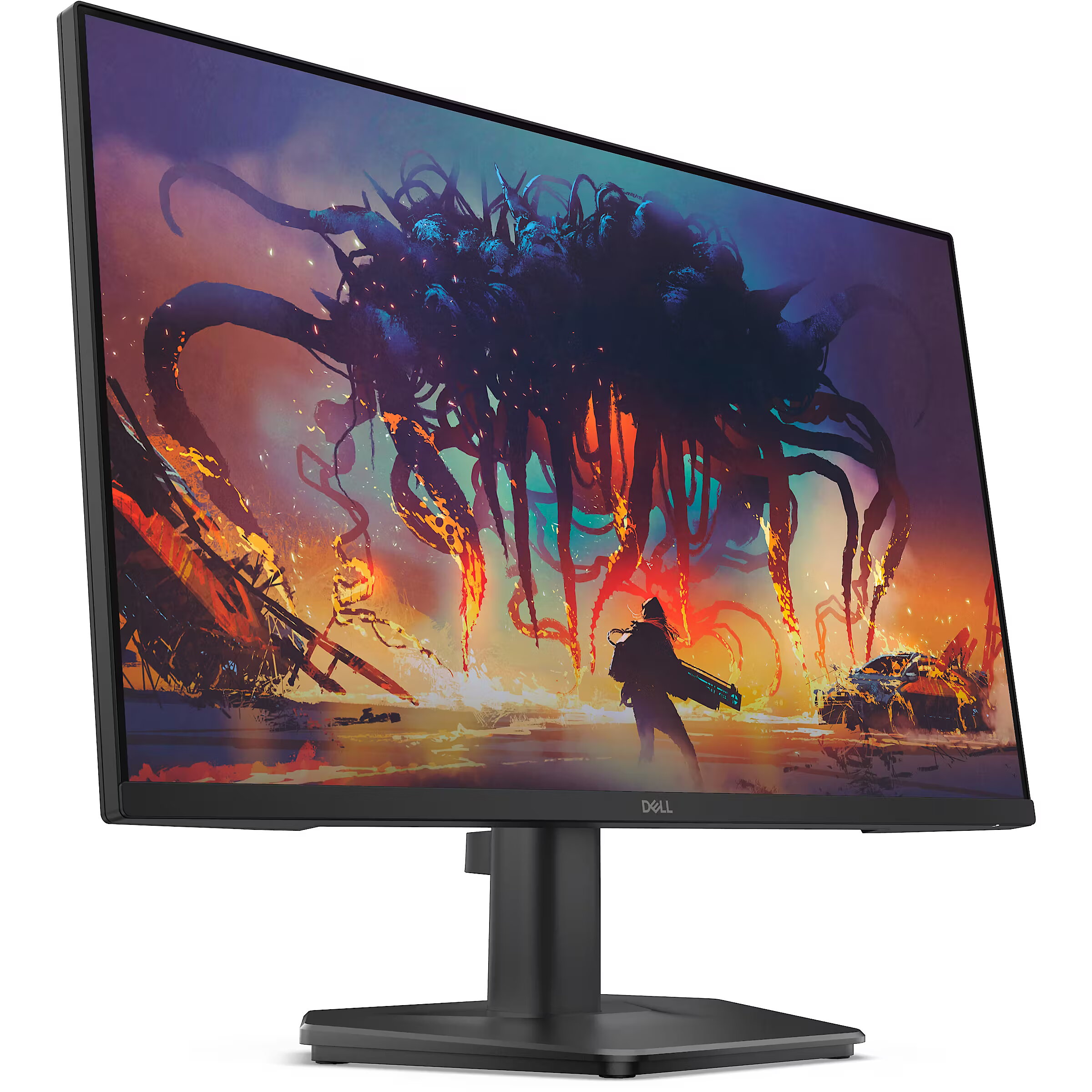 Dell SE2425HG, 24