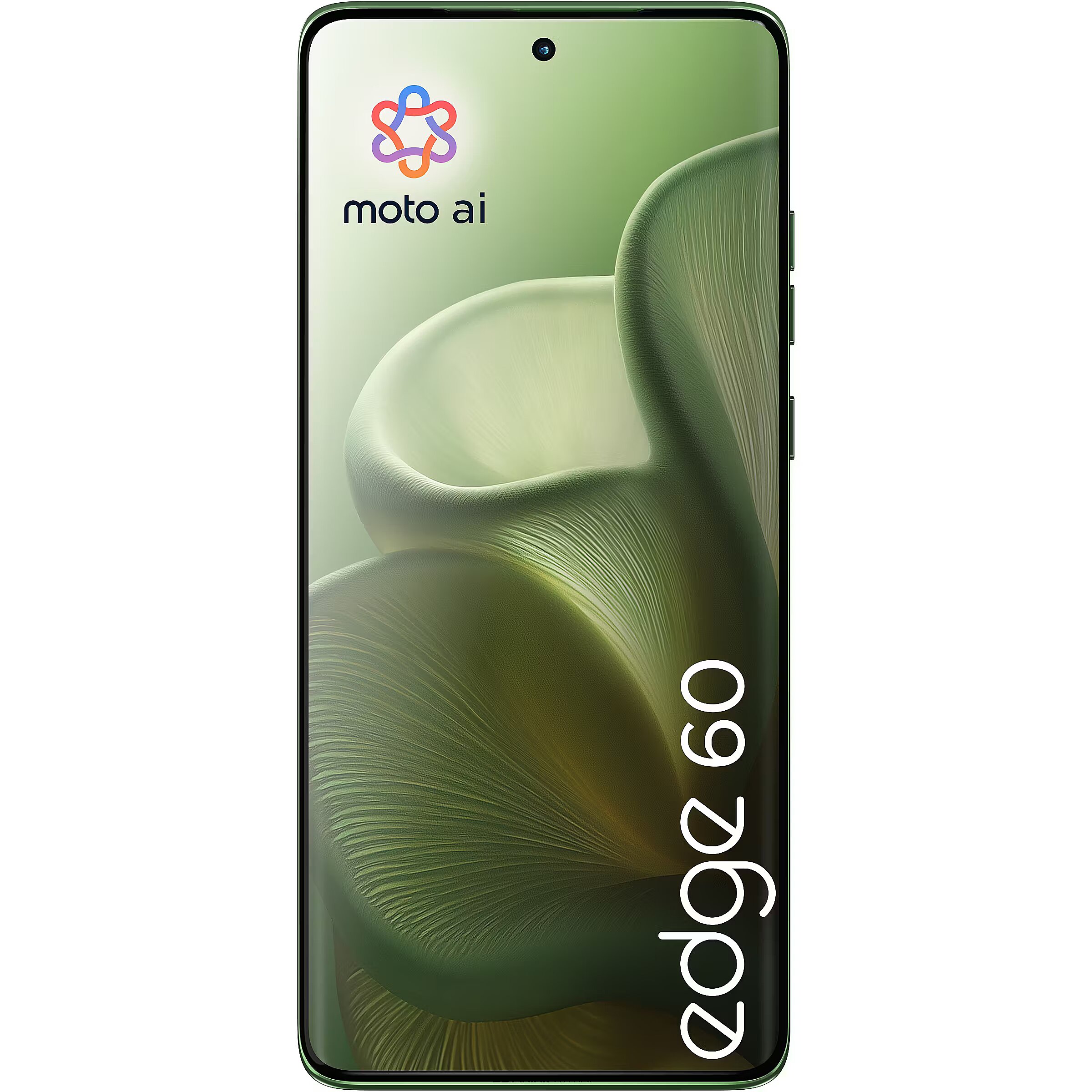 Motorola Edge 60, 12GB/256GB, PANTONE Shamrock (PB7H0019PL)
