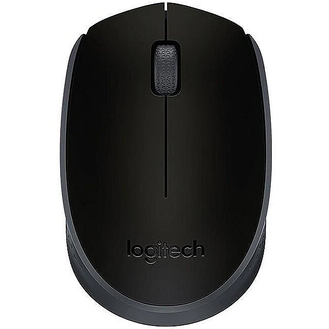 Мышь беспроводная logitech wireless. Мышь беспроводная Logitech m171. Мышь Logitech m170 Wireless Mouse. Мышь Logitech b170 Black USB. Logitech m171 Black.