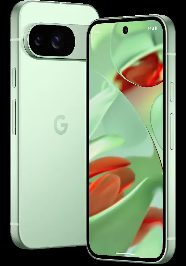 Google Pixel 9, 12GB/256GB, Wintergreen (GA05844-GB)
